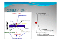 TEM 투과 전자 현미경-4