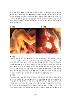 [인간행동과사회환경a+자료] 태아기, 유아기, 학령전기에 대해서-8