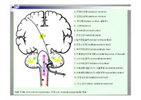 [뇌손상] Ataxia[실조증]의 운동치료-7
