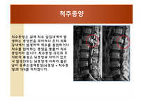 [물리치료] 척추에 대한 질환-16