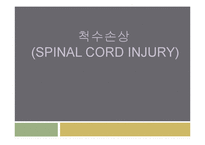 물리치료학 - 척수손상(Spinal Cord Injury)에 관해-1
