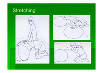 [통증관리 물리치료] Swiss Ball Exercise-9
