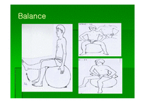 [통증관리 물리치료] Swiss Ball Exercise-10