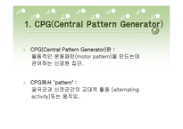 [소아물리치료] 보행에서 Central Pattern Generator [CPG]에 대한 이해-3