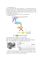 [분자생물학] DNA 염기서열 분석방법-2