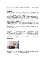 [물리치료운동] core exercise[코어 운동]에 대해서-3