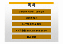 전기화학 - Carbon Nano Tube[CNT] 탄소나노튜브의 응용-2