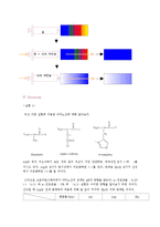 [일반화학실험] 크로마토그래피[결과 보고서]-4
