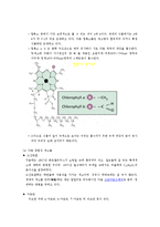 생물학 실험 보고서 - 광합성 색소의 분리-3