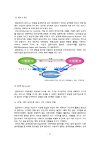 잡코리아 JOBKOREA 경영전략분석및 잡코리아 성공요인분석과 잡코리아 향후전략제안-11