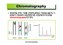 가스 크로마토그래피(Gas Chromatography)에 관해서-3