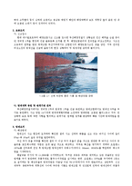 [해사법규] 해양오염사례와 저감방안 및 방제설비 조사-2