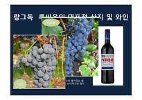 프랑스 와인과 한국의 전통주 비교-14