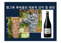 프랑스 와인과 한국의 전통주 비교-15