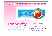 [마케팅]`Iceberry` 아이스베리를 통한 소규모 창업마케팅사례-1