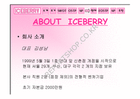 [마케팅]`Iceberry` 아이스베리를 통한 소규모 창업마케팅사례-2