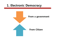 전자민주주의(Electronic Democracy)사례 연구(영문)-3