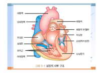 심혈관계 질환(임상영양학, 심장의구조, 고혈압, 이상지혈증, 동맥경화증, 심장질환, 뇌졸증) PPT, 파워포인트-3