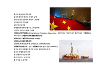 중국의 에너지 소비와 에너지산업-2