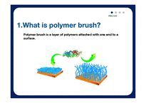 polymer brush 레포트-4