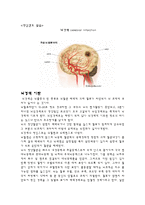 성인간호학 실습 - 뇌경색 cerebral infarction 조사-1