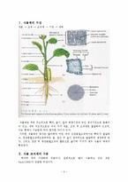 [생물학] 식물 조직계에 관해-1