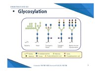 [세포공학] Eukaryotic 세포주를 이용한 Hormone의 생산 및 이용 현황-9