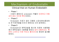 Human Endostatin 합성 공정 설계 경과 보고-9