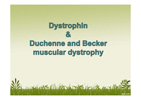 Duchenne and Becker muscular dystrophy-1