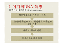 이기적 DNA의 특징-5