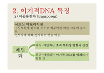 이기적 DNA의 특징-11