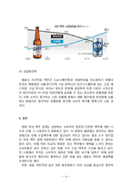 [맥주 신제품개발 마케팅 기획안] 프리미엄 맥주 신제품개발 마케팅전략 기획안-16