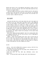 문화교양학과 정보사회와디지털문화 4공통-8