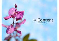 [태믹스] 메꽃과 싸리나무 꽃 배경 PPT-16