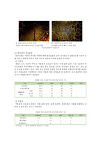 옥상녹화의 사례 분석 ; 옥상녹화의 효과와 특성-11