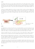 만성 췌장염 레포트-9