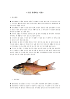 수중생물의 신비 - 구중부화하는 어류 보고서-1