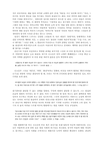 [문학] 김소진의 `늪이있는마을` 분석-4