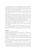[중국영화] 왕가위감독의 작품세계와 이해-3
