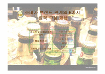 [고객구매행동] 소비자-브랜드 관계에 따른 맥주 브랜드 충성도 형성-5
