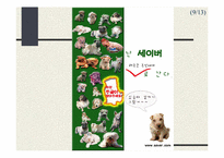 [광고론] 애완동물용 마이크로칩인 세이버 광고기획안-10