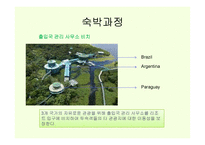 정글 컨셉의 리조트 개발 기획-6