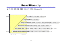 브랜드 전략의 이해-17