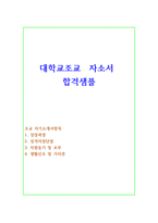 자기소개서(대학조교 합격예시문 샘플)-1
