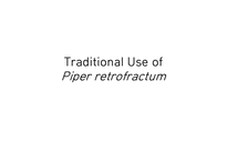 Piper retrofractum 레포트-7