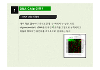DNA Chip 레포트-3