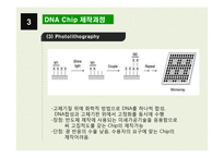 DNA Chip 레포트-11