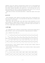 [ppl광고] 드라마`겨울연가`속에 나타난 간접광고사례연구-7