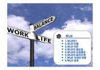 일과 삶의 균형 work life balance -한국ibm유한킴벌리아모레퍼시픽--3