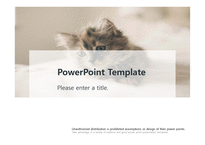 귀여운 고양이 예쁜 애완동물 반려동물 pet 동물병원 배경파워포인트 PowerPoint PPT 프레젠테이션-1